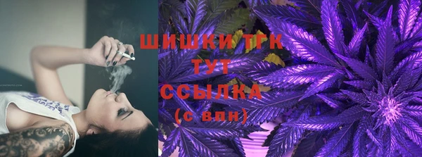 таблы Богородицк